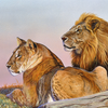 MARA SUNRISE