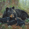 Tender Moments