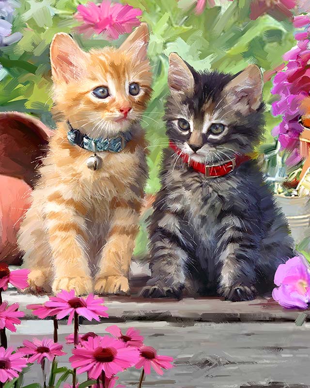 Colorful Kitten Easy Paint by Numbers Kit for Adults Free Shipping
