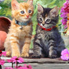 Kitten paint by number