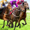 Horse racing paint by number