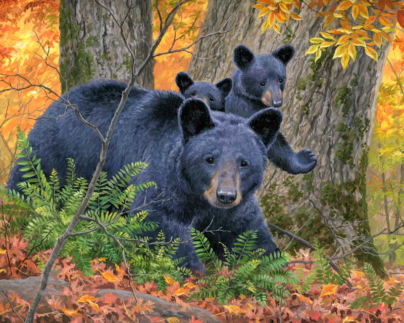 Bear paint by number