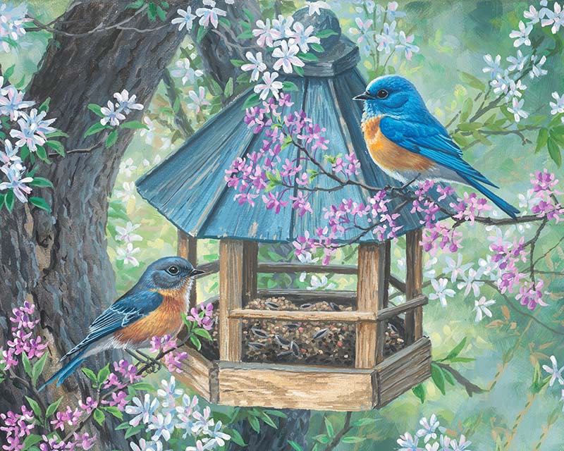 Birds paint by number