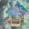 Birds paint by number