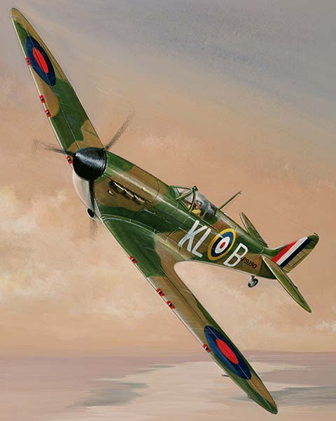 Spitfire paint by number
