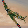 Spitfire paint by number