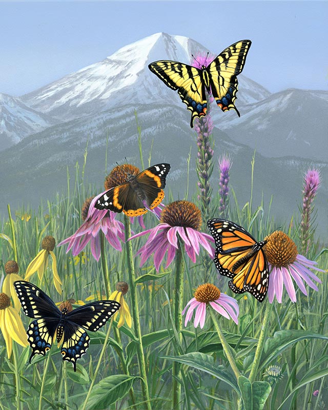 Butterfly paint by number