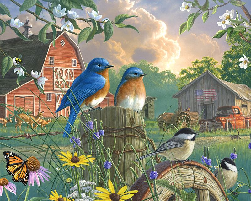 birds paint by number