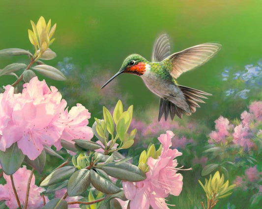 Hummingbird paint by number