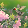 Hummingbird paint by number
