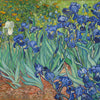 Van Gogh Irises paint by number
