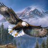 bald eagle paint by number