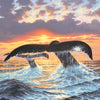 Deep Water Nomads