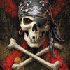 Pirate skull paint by number