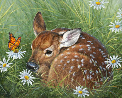 Fawn