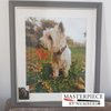 Custom Dog Paint By Numbers Kit