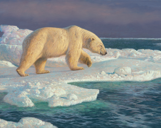 King of the Polar Ice