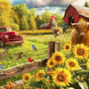 Rural Rhapsody