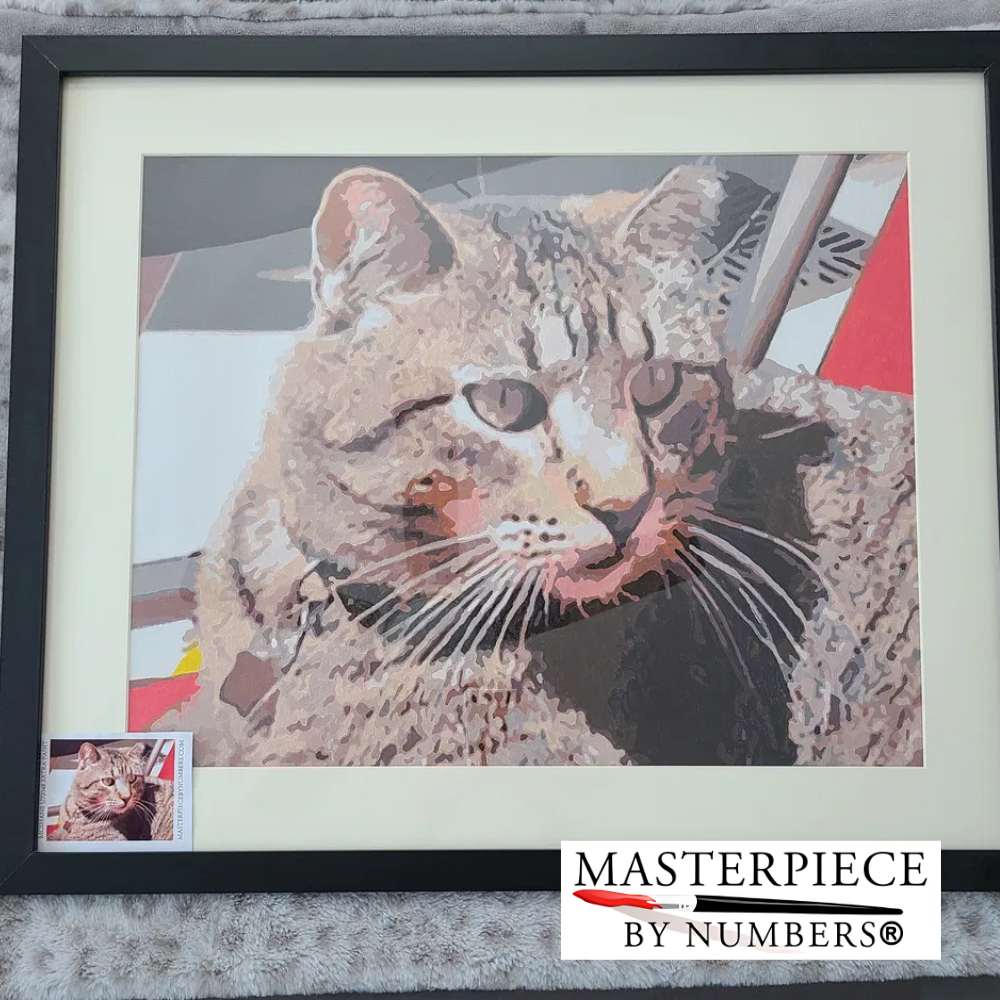 Custom Cat Paint By Numbers Kit