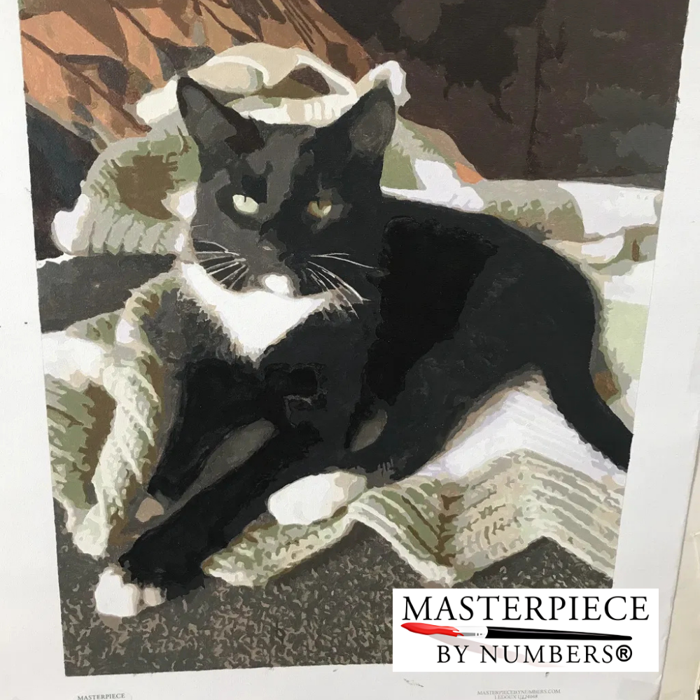 Custom Cat Paint By Numbers Kit