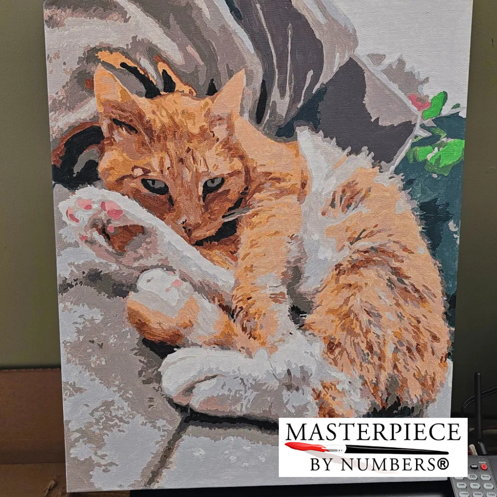 Custom Cat Paint By Numbers Kit