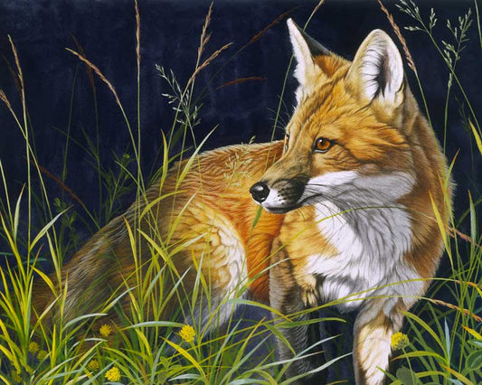 Fox paint by number