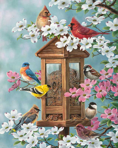 Birds paint by number