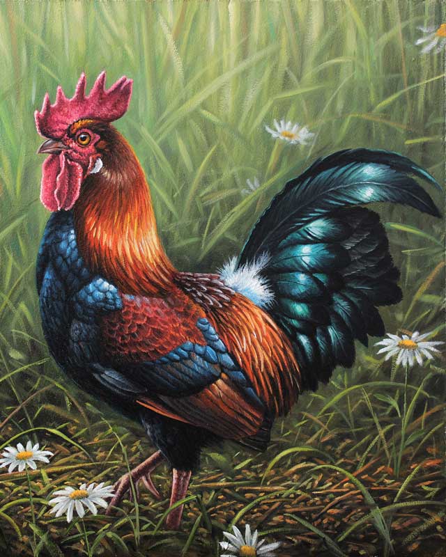 Rooster paint by number