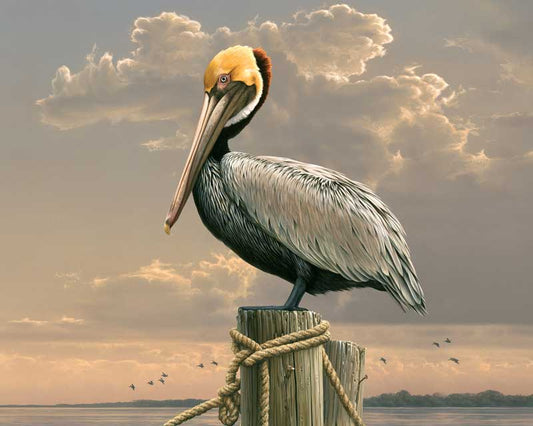 Pelican paint by number