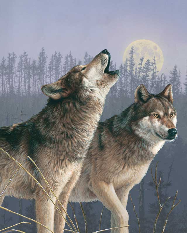 Wolf paint by number