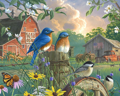 birds paint by number