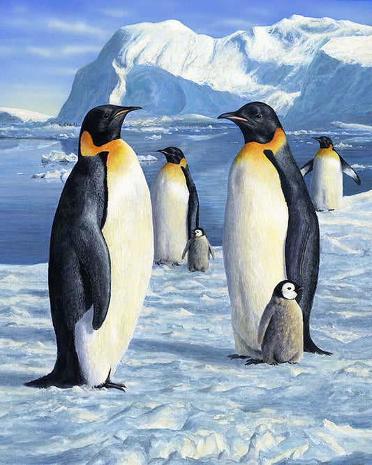 Penguin paint by number