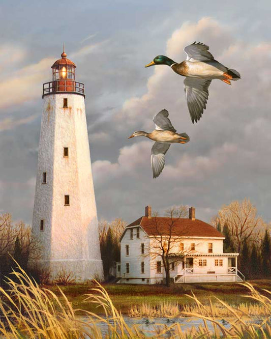 Lighthouse paint by number