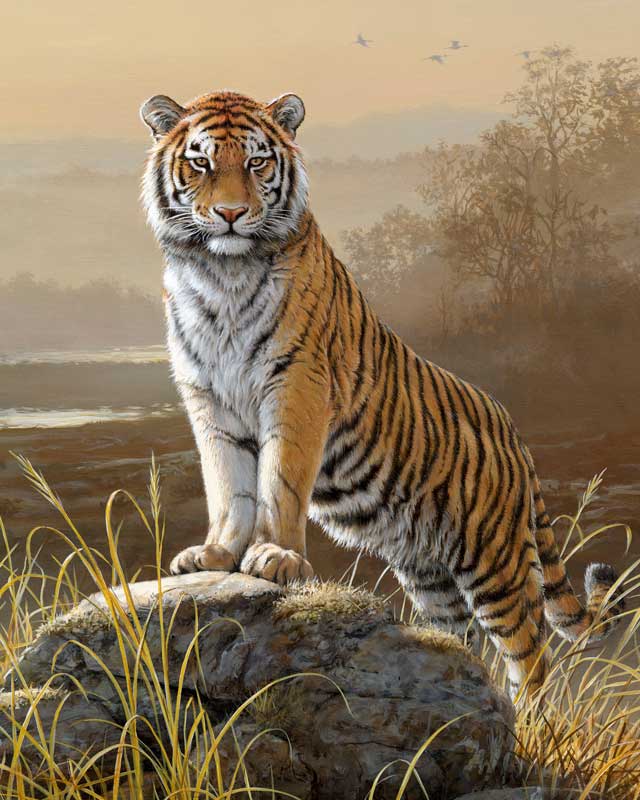 Tiger paint by number