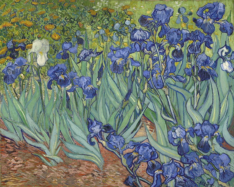 Van Gogh Irises paint by number