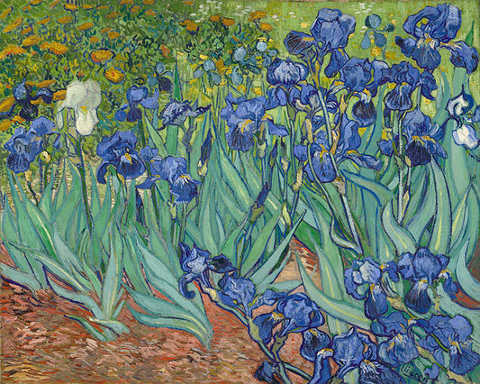 Van Gogh Irises paint by number