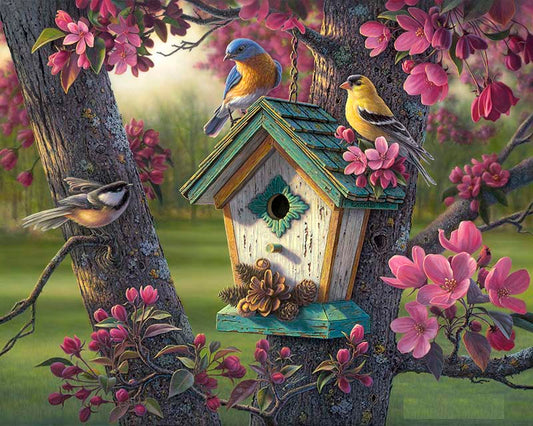 Paint by number birds