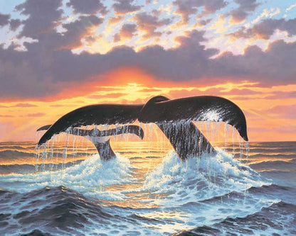 Deep Water Nomads