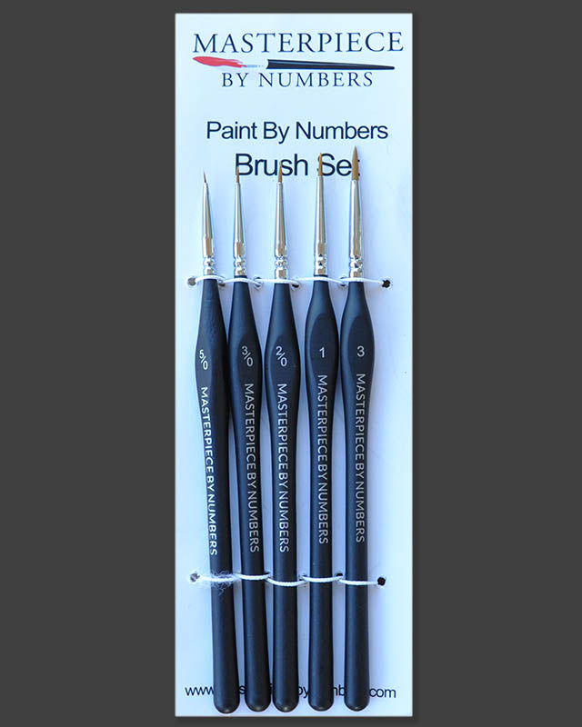 Paint By Number Brushes 5 Piece Set Masterpiece By Numbers